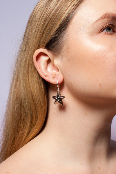 Blizgūs žvaigždės formos keramikos auskarai su platinos blizgesiu